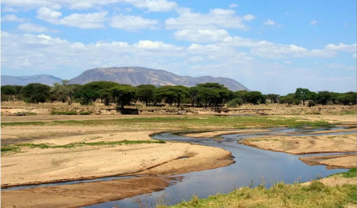 Tarangire Safari mit Klüger Reisen