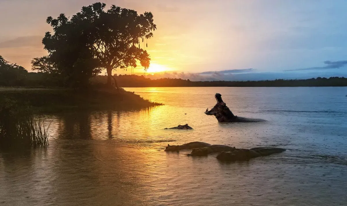 Uganda_Murchison_Nationalpark_Nil_Klueger_Reisen