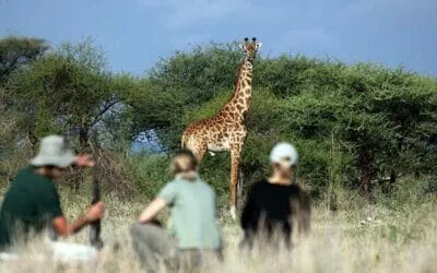 Tansania_Walking_Safari_Klueger_Reisen