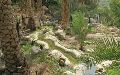 Oman_Wassersystem_Klueger_Reisen