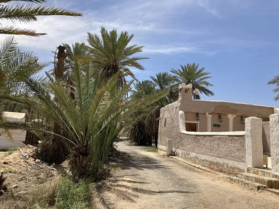 Saudi_Arabien_Oasenstadt_Buraidah_Rundreise_Klueger_Reisen