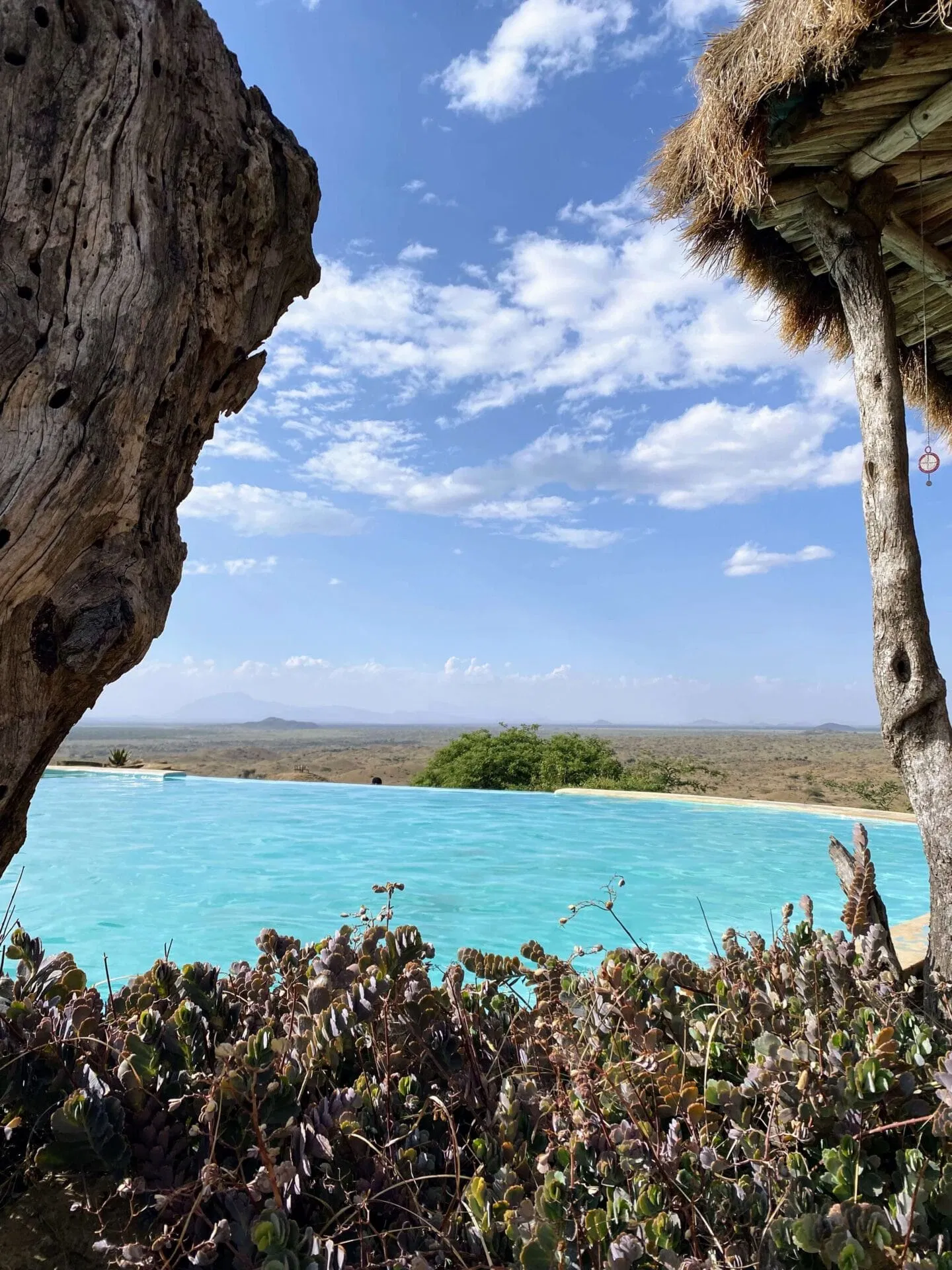 Tansania_Walking_Safari_Klueger_Reisen