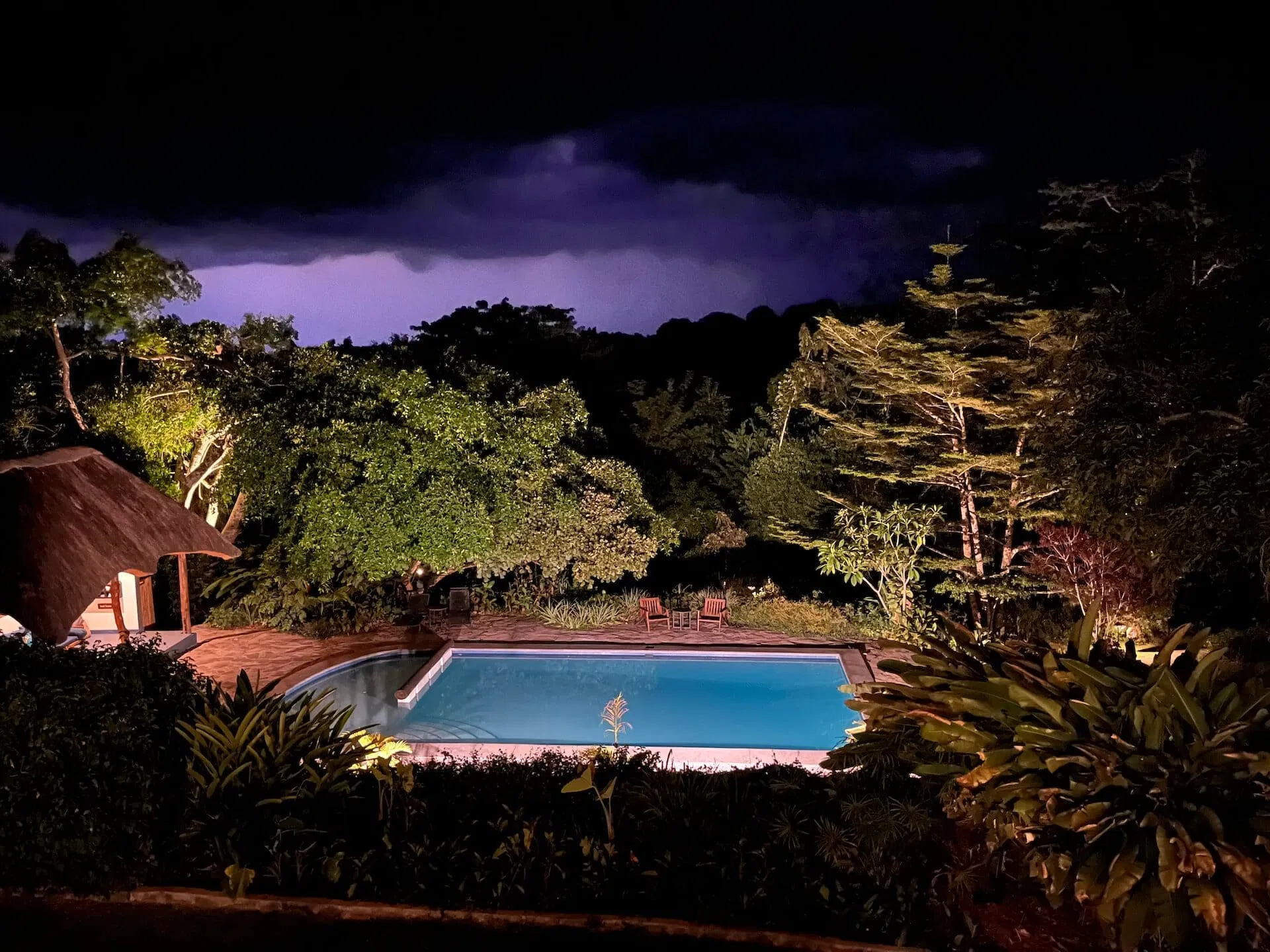 Uganda_Foto 5_Turaco